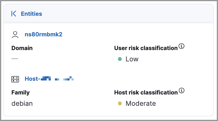 Overview of the entity details section in the right panel
